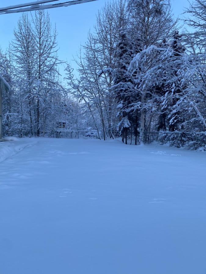 Quiet, Cozy, Centrally-Located Home Fairbanks Extérieur photo